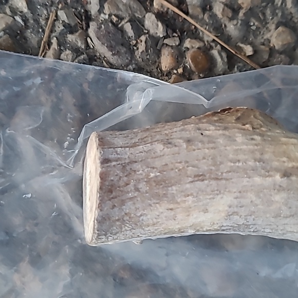 NWT Heartland Lrg  Deer Antler For Dogs - Picture 4 of 5